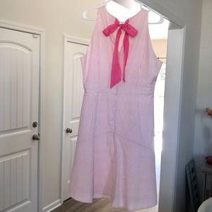 NWT JCrew Seersucker Pink Sleevless Dress